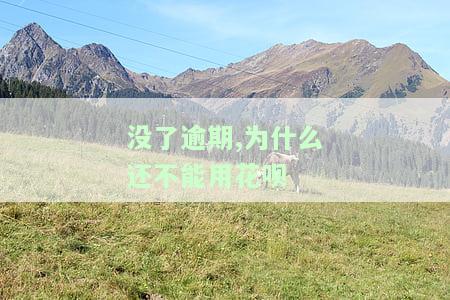 没有逾期为什么不能用花呗？原因解析