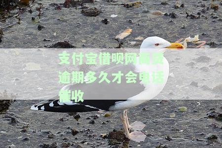 网商贷借呗逾期多久会爆通讯录？影响征信吗？结清后何时可用？