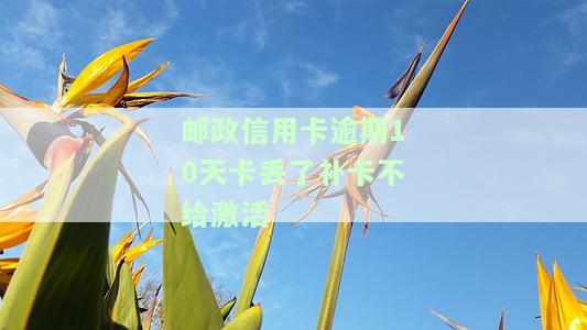 邮政信用卡逾期10天卡丢后补卡未激活，该如何处理？