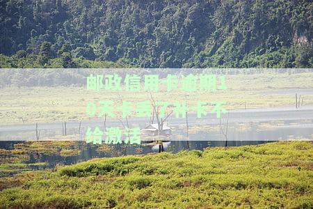 欠邮政银行信用卡无力偿会有啥后果？60000元逾期上门催收，15000元起诉风险大