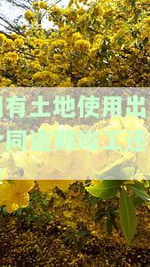 如何计算及处理国有土地出让金违约金？能否减免或免除？