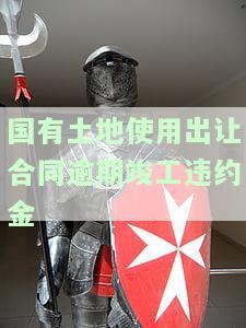 国有土地使用出让合同逾期竣工违约金-土地出让延期竣工违约金1‰