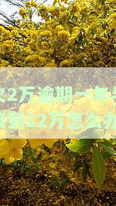 欠2万逾期一年半滚到12万怎么办理？手续费及应还金额解析
