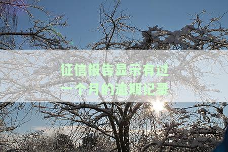 如何处理征信报告中一个月的逾期记录？会影响贷款吗？