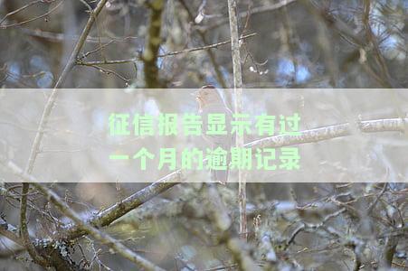 征信报告：有1个月逾期记录，如何消除对贷款的影响？