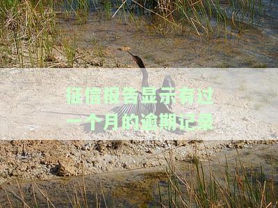 征信报告显示有过一个月的逾期记录-征信报告显示有过一个月的逾期记录怎么办