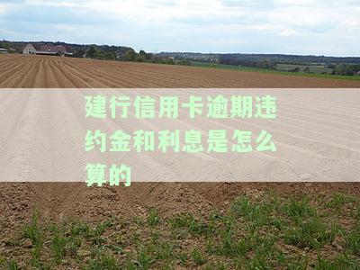 建行信用卡2020逾期新规全解析：新规定及解读