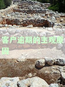 如何写出客户逾期的主观原因？