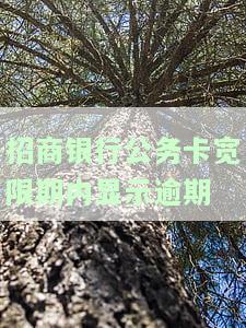 招商银行公务卡还款期限：多久？多少天？如何计算？有年费吗？