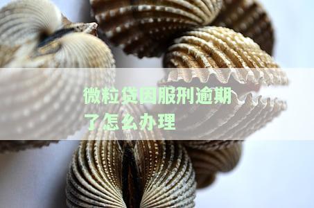 微粒贷因服刑逾期后，如何办理延期还款？