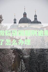 微粒贷因服刑逾期了怎么办理延期还款手续？