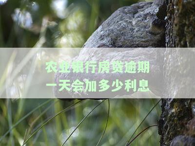 农业银行房贷逾期一天利息计算及影响：如何处理？是否会记入征信？