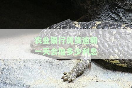 农业银行房贷逾期1天的影响：是否会上征信？该怎么办？