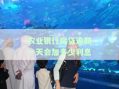 农业银行房贷逾期一天怎么办？会上征信吗？