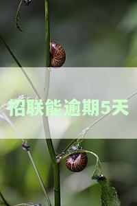 招联逾期4天还款后，能否继续循环使用？逾期影响及解冻方法