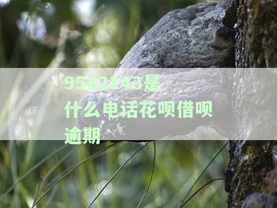 9542143是什么电话花呗借呗逾期-952141是花呗电话