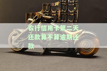 农行信用卡忘记还款一天会有影响吗？解决方案及安全性解析