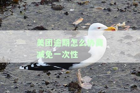 美团逾期协商方案：没钱还、无力偿还可如何解决？延期还款应如何与美团协商？