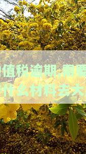 增值税逾期,需要带什么材料去大厅