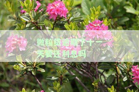 微粒贷逾期11天，需要还款利息吗？影响及解决办法