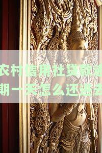 农村信用社贷款还款逾期多久会产生利息？宽限期有多长？