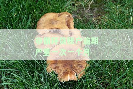 非循环贷账户逾期严重一次：一个月应还款项、利息及影响，逾期一个月如何消除？
