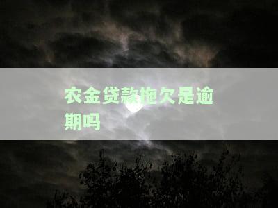 农金贷款拖欠是否逾期？如何处理？逾期多久会影响征信？多久能到账？