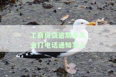 工商银行房贷逾期几个小时会如何？影响征信吗？