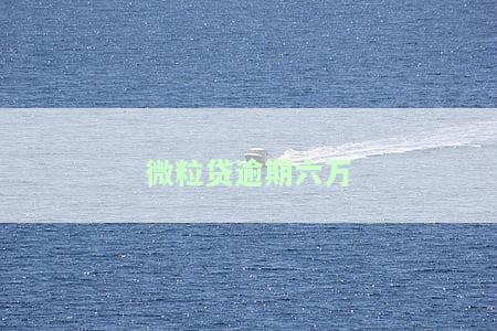 微粒贷逾期六万多严重吗？会起诉吗？知乎上的解决方案是什么？