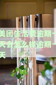 美团生活费逾期一天是否影响再次借款？