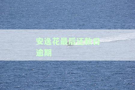 安逸花最后还款日逾期三天会有什么后果？