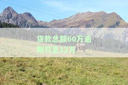 欠贷款60万：无法偿还，有车有房会被如何处理？是否会导致坐牢？