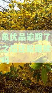 小象优品逾期还款后能否继续借款？知乎用户分享经验