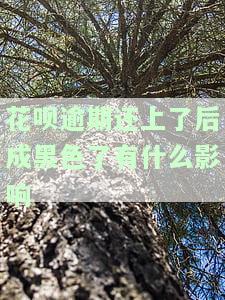 花呗逾期结清后黑关闭了，如何再恢复？