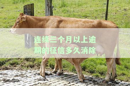 连续三个月以上逾期的征信多久消除记录？影响及解决办法