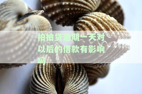 拍拍贷逾期一天对以后的借款有影响吗