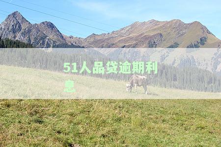 51人品贷逾期利息-51人品贷逾期利息和滞纳金罚金多少