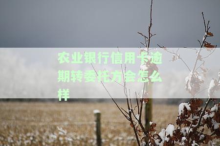 农业银行信用卡逾期：影响征信、可申请减免利息及分期还款？
