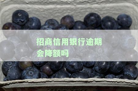招商信用银行逾期是否会降额？影响及解决方法全解析