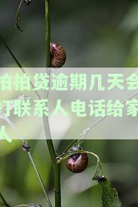 拍拍贷逾期几天会打通讯录电话？影响紧急联系人吗？
