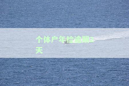 个体户年检逾期2天