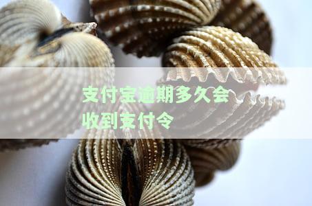 支付宝逾期多久会催收：电话、上门还是短信？催收力度有多猛？