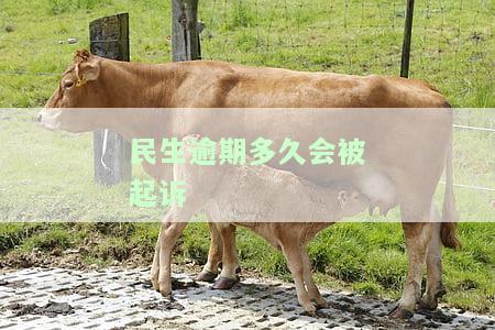 民生逾期多久会被起诉？立案时间、查询方法及解决办法