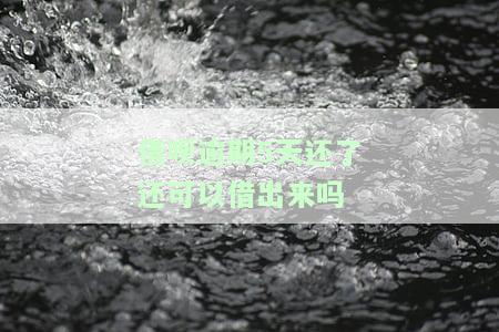 借呗逾期5天还清后能否再次借款？对征信有影响吗？