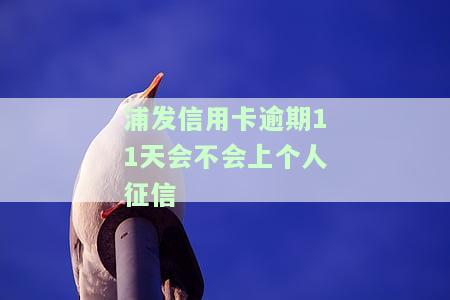 浦发逾期10天了，让一吹还清，还不起怎么办？全额还款会有影响吗？协商还款需注意什么？逾期多久会被要求一次性还全部欠款？