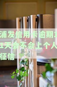 浦发信用卡逾期11天会不会上个人征信-浦发信用卡逾期11天会不会上个人征信