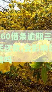 360借条逾期三天还款，会对下次借款产生影响吗？
