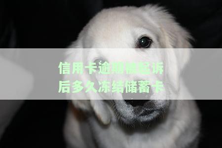被信用卡起诉后多久会冻结银行卡？欠款被诉后冻结时间及收到传票的期限