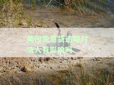 美团生意贷逾期，催收称将起诉？如何应对?