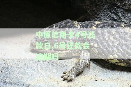 中原信用卡4号还款日,6号还款会逾期吗？原因解析